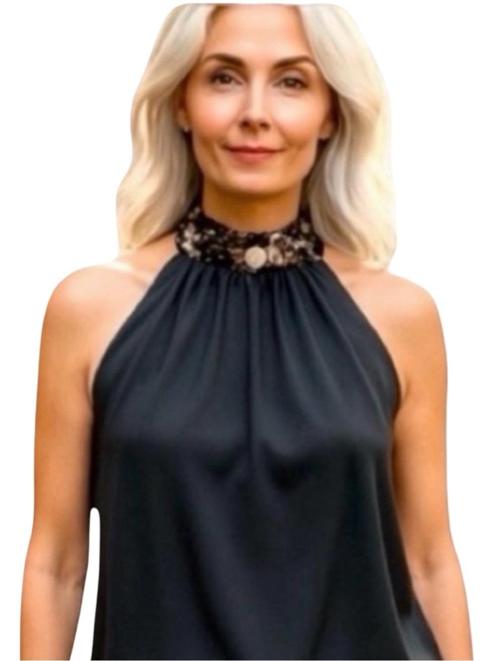 Vasarri Women’s Blouse w/ Unique ‘Stone’ Neckline. Black, Brown. Size 2